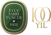 Eyüp Sabri Tuncer 100.Yıl Logo